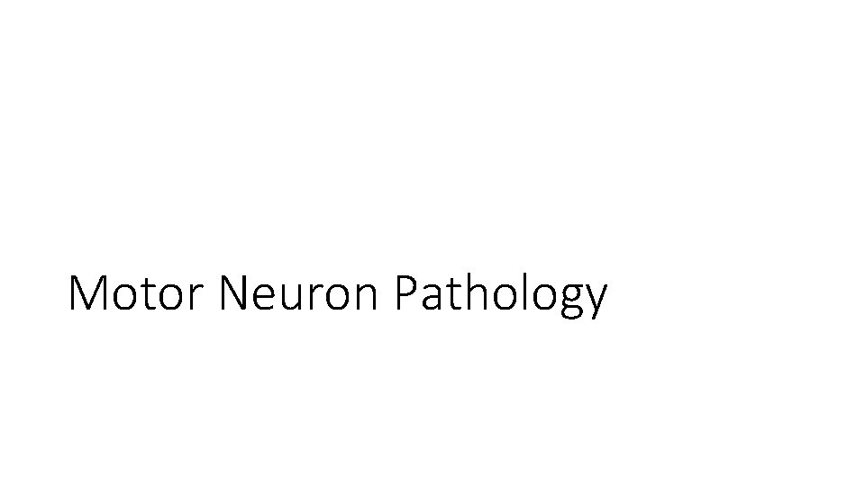 Motor Neuron Pathology 