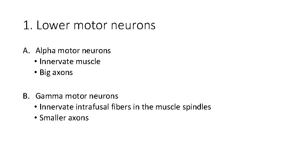 1. Lower motor neurons A. Alpha motor neurons • Innervate muscle • Big axons