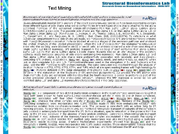 Text Mining 