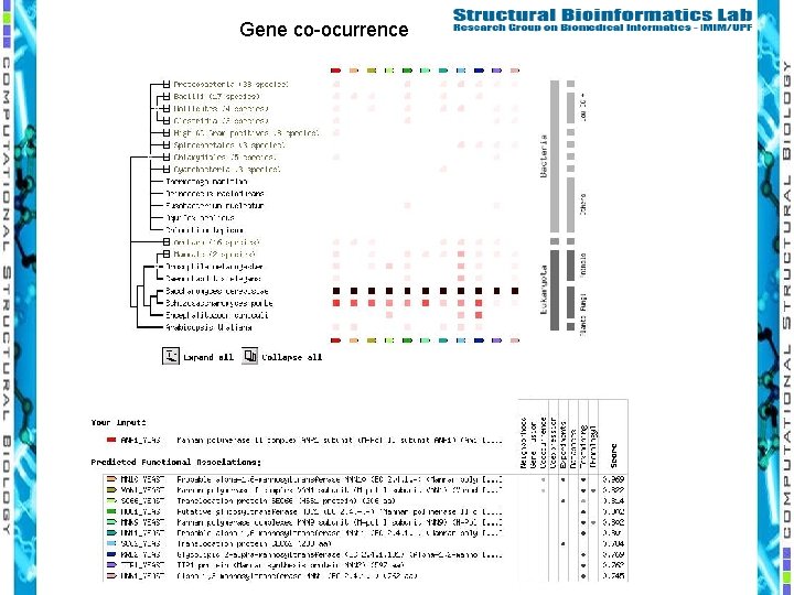 Gene co-ocurrence 