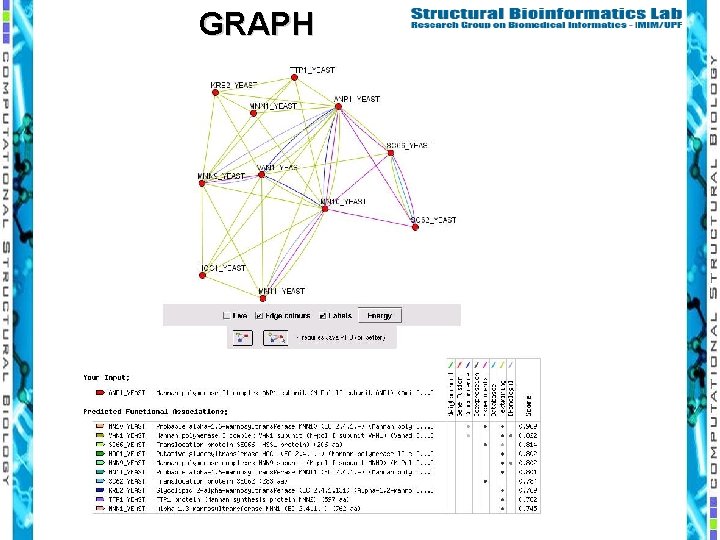 GRAPH 