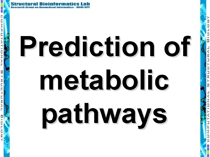 Prediction of metabolic pathways 