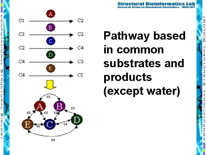 Pathway based in common substrates and products (except water) 