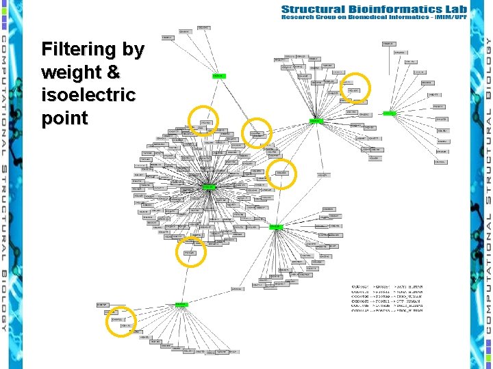 Filtering by weight & isoelectric point 