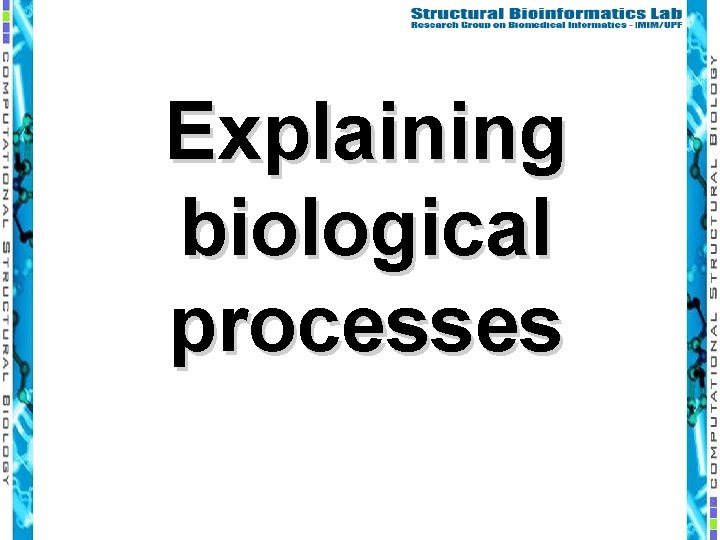 Explaining biological processes 