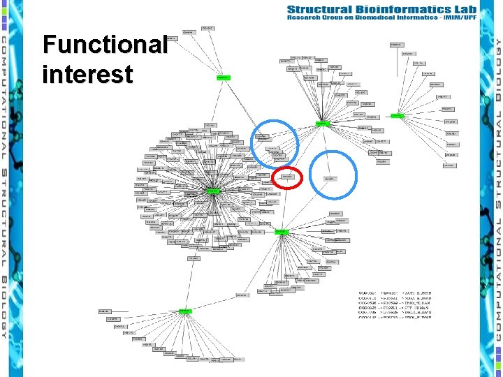 Functional interest 