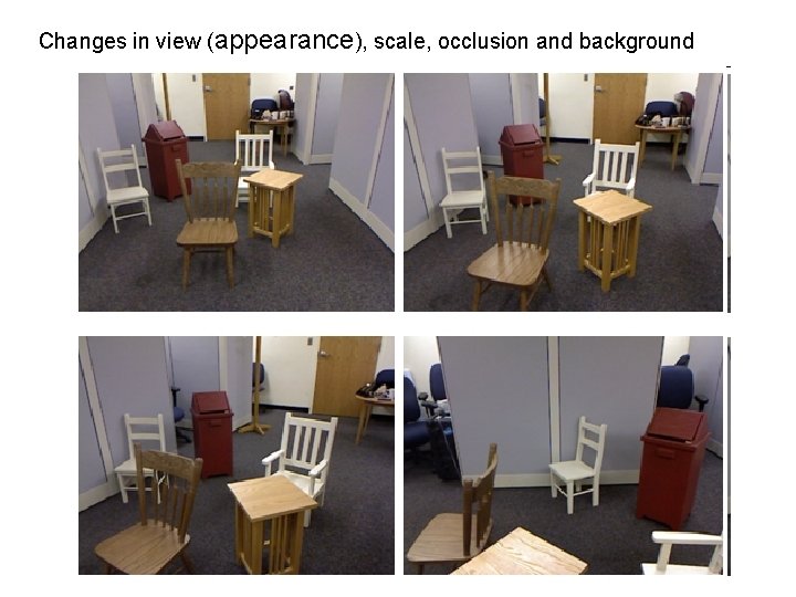Changes in view (appearance), scale, occlusion and background 