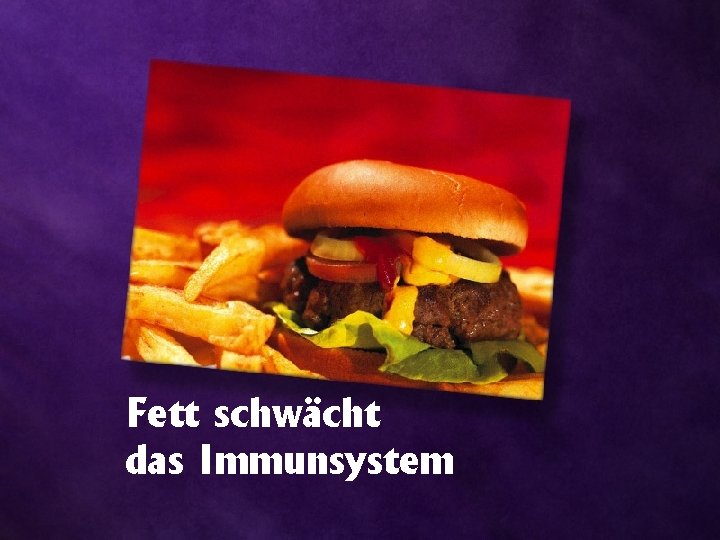 Fett schwächt das Immunsystem 