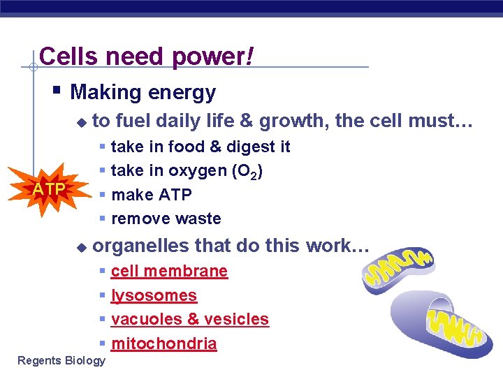 Cells need power! § Making energy u to fuel daily life & growth, the