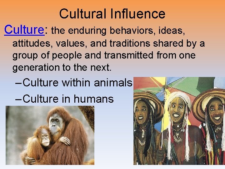 Cultural Influence Culture: the enduring behaviors, ideas, attitudes, values, and traditions shared by a