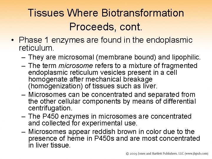 Tissues Where Biotransformation Proceeds, cont. • Phase 1 enzymes are found in the endoplasmic