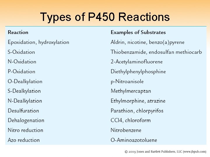 Types of P 450 Reactions 