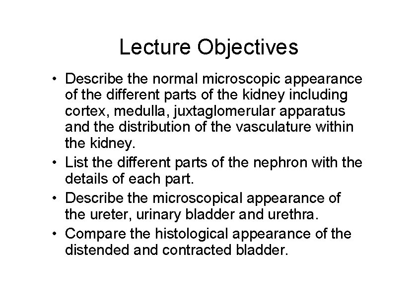 Lecture Objectives • Describe the normal microscopic appearance of the different parts of the