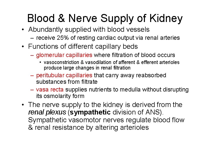 Blood & Nerve Supply of Kidney • Abundantly supplied with blood vessels – receive