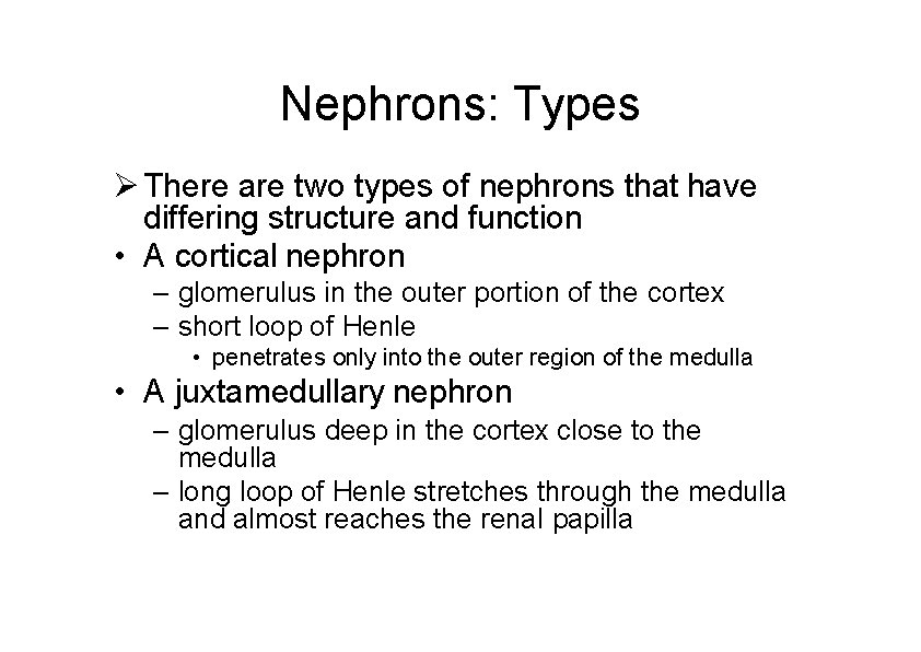 Nephrons: Types There are two types of nephrons that have differing structure and function