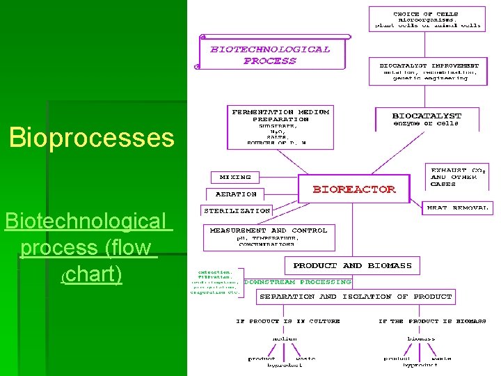Bioprocesses Biotechnological process (flow (chart) 