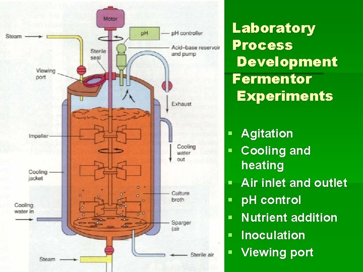 Laboratory Process Development Fermentor Experiments § Agitation § Cooling and heating § Air inlet
