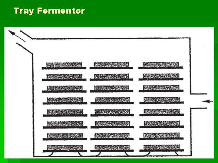 Tray Fermentor 