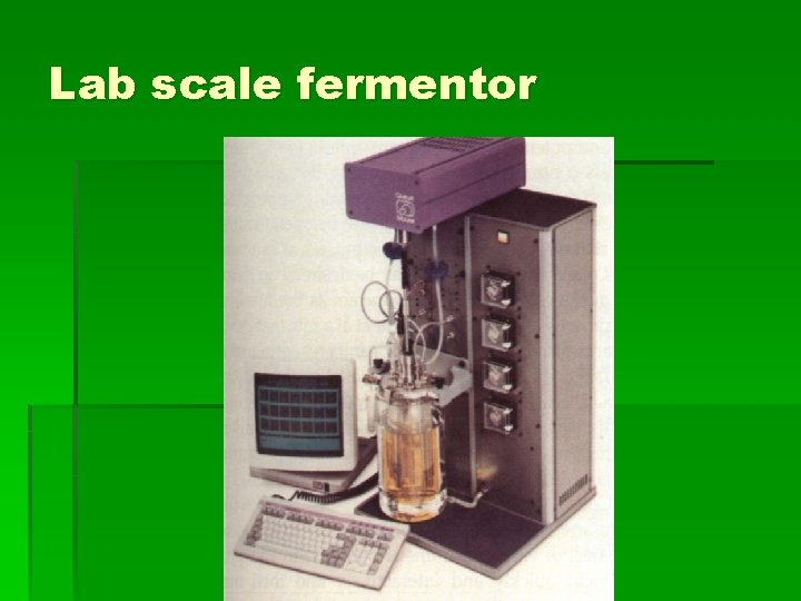 Lab scale fermentor 