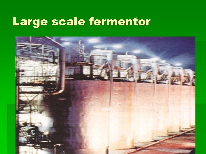 Large scale fermentor 