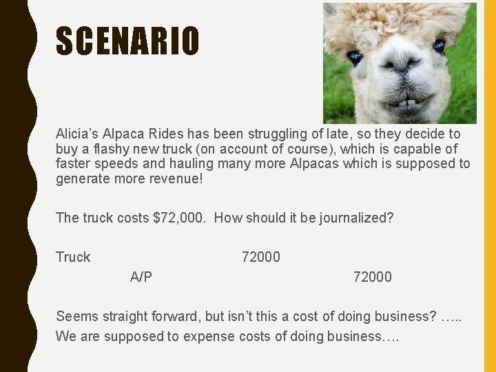 SCENARIO Alicia’s Alpaca Rides has been struggling of late, so they decide to buy