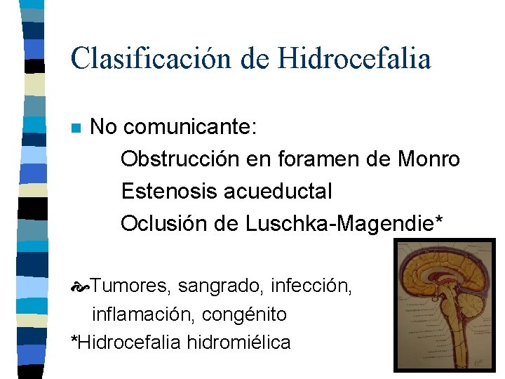 Clasificación de Hidrocefalia n No comunicante: Obstrucción en foramen de Monro Estenosis acueductal Oclusión