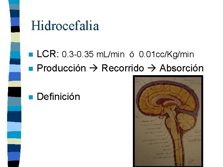 Hidrocefalia n LCR: 0. 3 -0. 35 m. L/min ó 0. 01 cc/Kg/min Producción