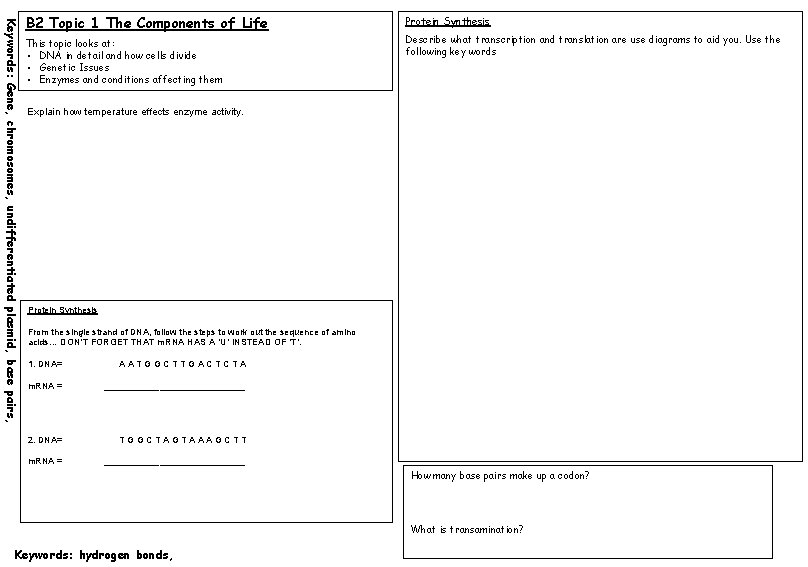 Keywords: Gene, chromosomes, undifferentiated plasmid, base pairs, B 2 Topic 1 The Components of