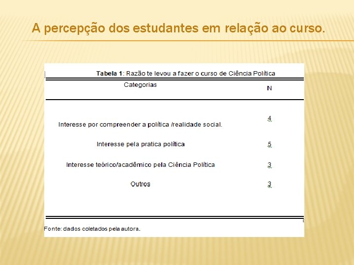 A percepção dos estudantes em relação ao curso. 
