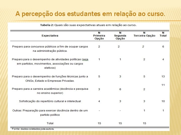 A percepção dos estudantes em relação ao curso. 