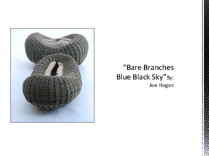 “Bare Branches Blue Black Sky”By: Joe Hogan 