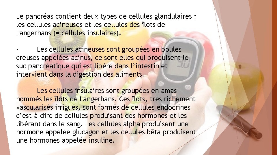 Le pancréas contient deux types de cellules glandulaires : les cellules acineuses et les