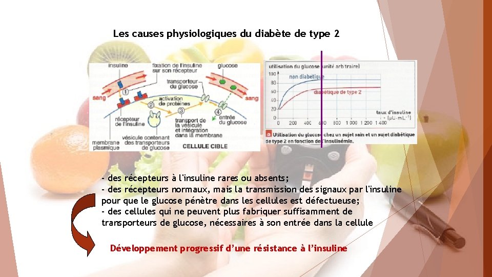 Les causes physiologiques du diabète de type 2 - des récepteurs à l'insuline rares