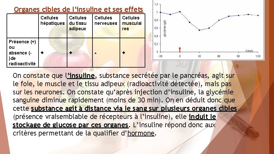 Organes cibles de l’insuline et ses effets Cellules hépatiques du tissu adipeux Présence (+)