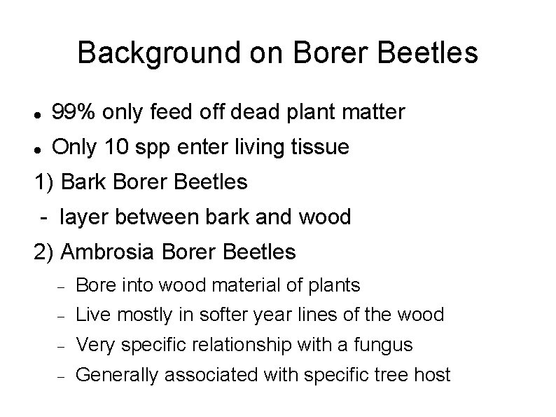 Background on Borer Beetles 99% only feed off dead plant matter Only 10 spp