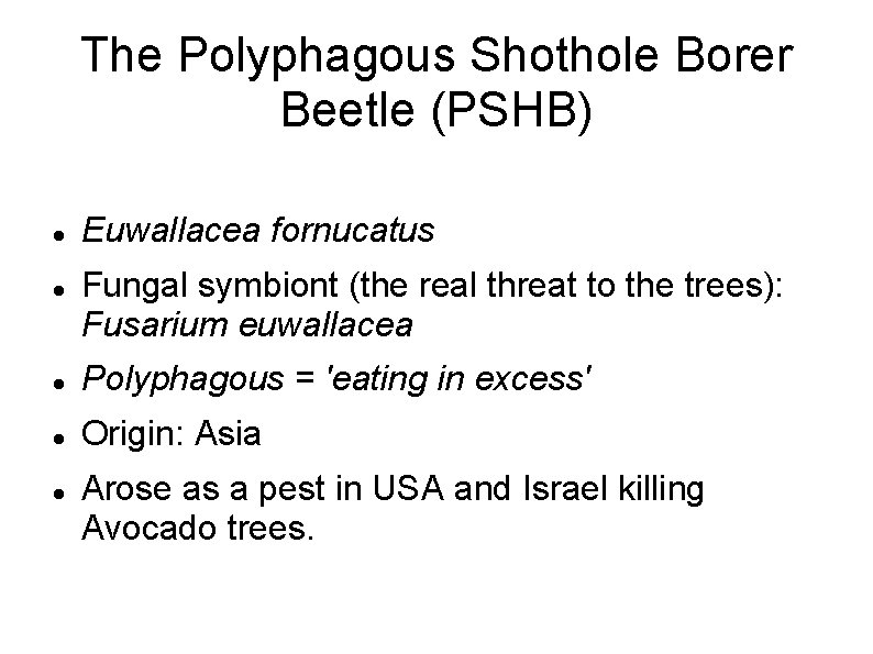 The Polyphagous Shothole Borer Beetle (PSHB) Euwallacea fornucatus Fungal symbiont (the real threat to