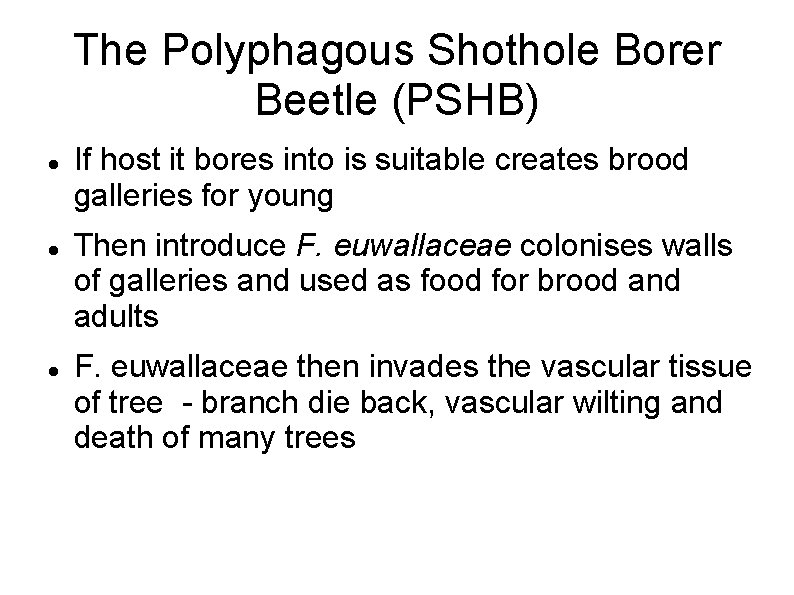 The Polyphagous Shothole Borer Beetle (PSHB) If host it bores into is suitable creates