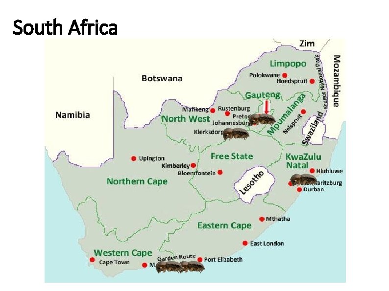 South Africa Pietermaritzburg Durban 