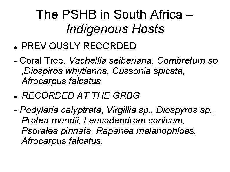 The PSHB in South Africa – Indigenous Hosts PREVIOUSLY RECORDED - Coral Tree, Vachellia