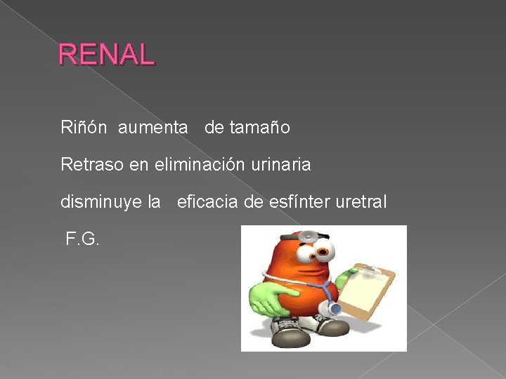 RENAL Riñón aumenta de tamaño Retraso en eliminación urinaria disminuye la eficacia de esfínter