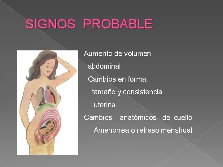 SIGNOS PROBABLE Aumento de volumen abdominal Cambios en forma, tamaño y consistencia uterina Cambios