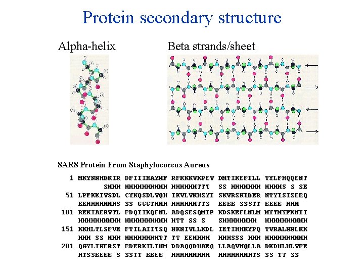 Protein secondary structure Alpha-helix Beta strands/sheet SARS Protein From Staphylococcus Aureus 1 MKYNNHDKIR SHHH