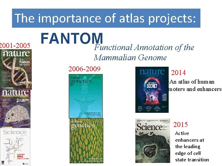 The importance of atlas projects: 2001 -2005 FANTOM Functional Annotation of the Mammalian Genome
