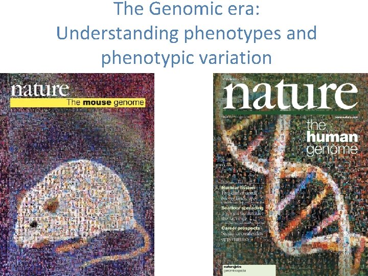 The Genomic era: Understanding phenotypes and phenotypic variation 