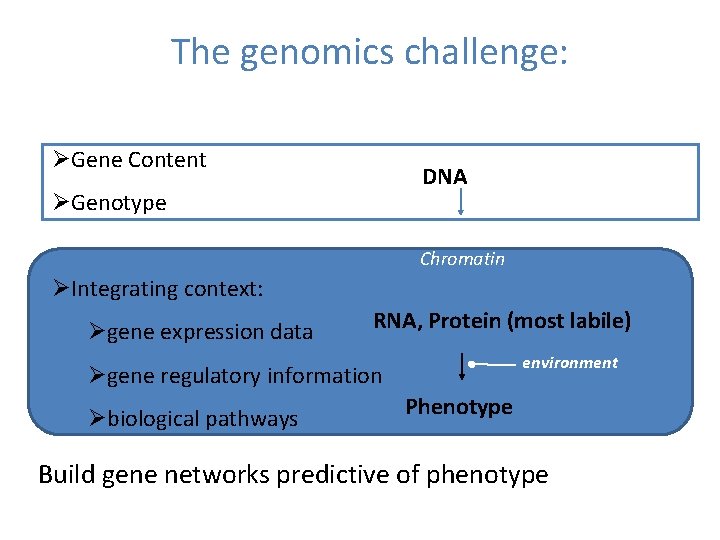 The genomics challenge: ØGene Content DNA ØGenotype Chromatin ØIntegrating context: Øgene expression data RNA,