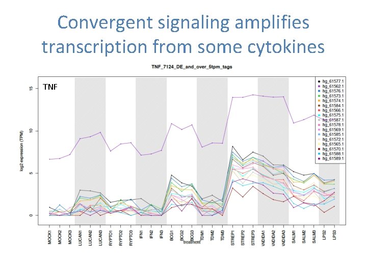 Convergent signaling amplifies transcription from some cytokines TNF 