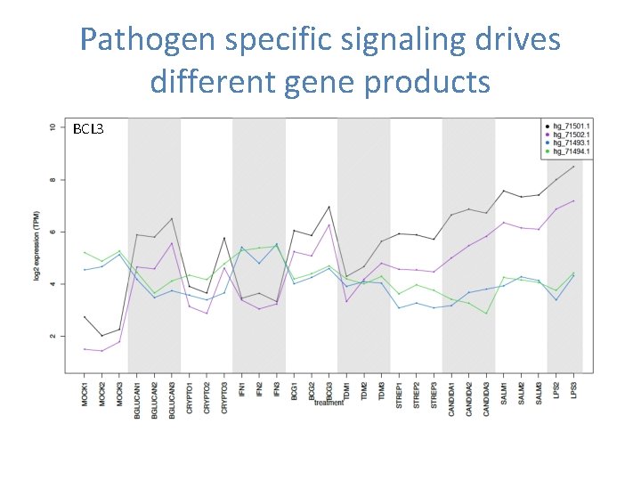 Pathogen specific signaling drives different gene products BCL 3 