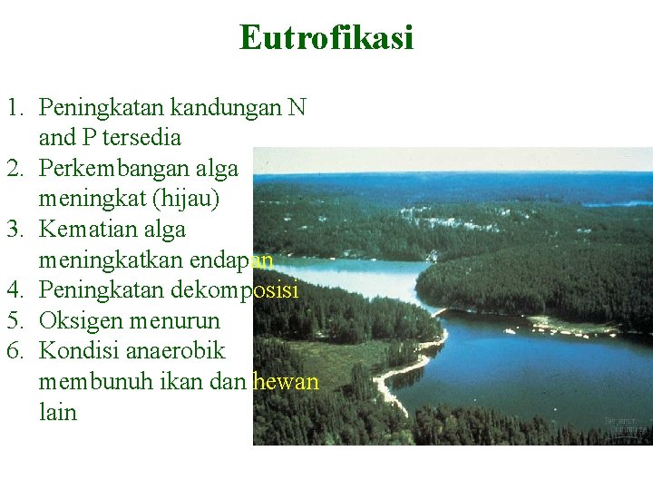 HUMAN IMPACTS Eutrofikasi 1. Peningkatan kandungan N and P tersedia 2. Perkembangan alga meningkat