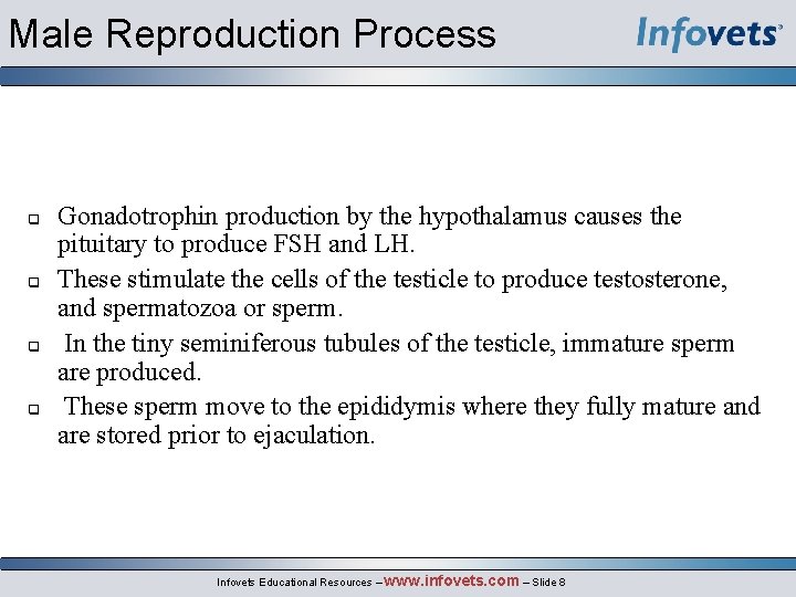 Male Reproduction Process Gonadotrophin production by the hypothalamus causes the pituitary to produce FSH