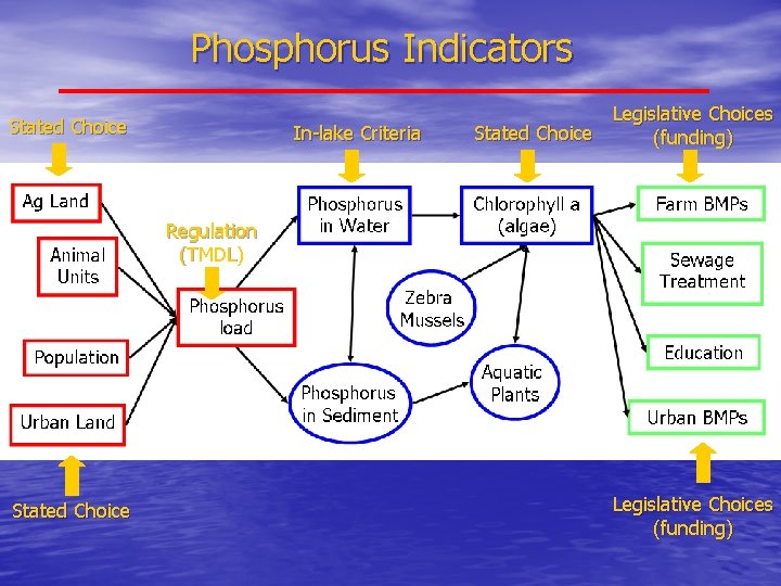 Phosphorus Indicators Stated Choice In-lake Criteria Legislative Choices Stated Choice (funding) Regulation (TMDL) Stated